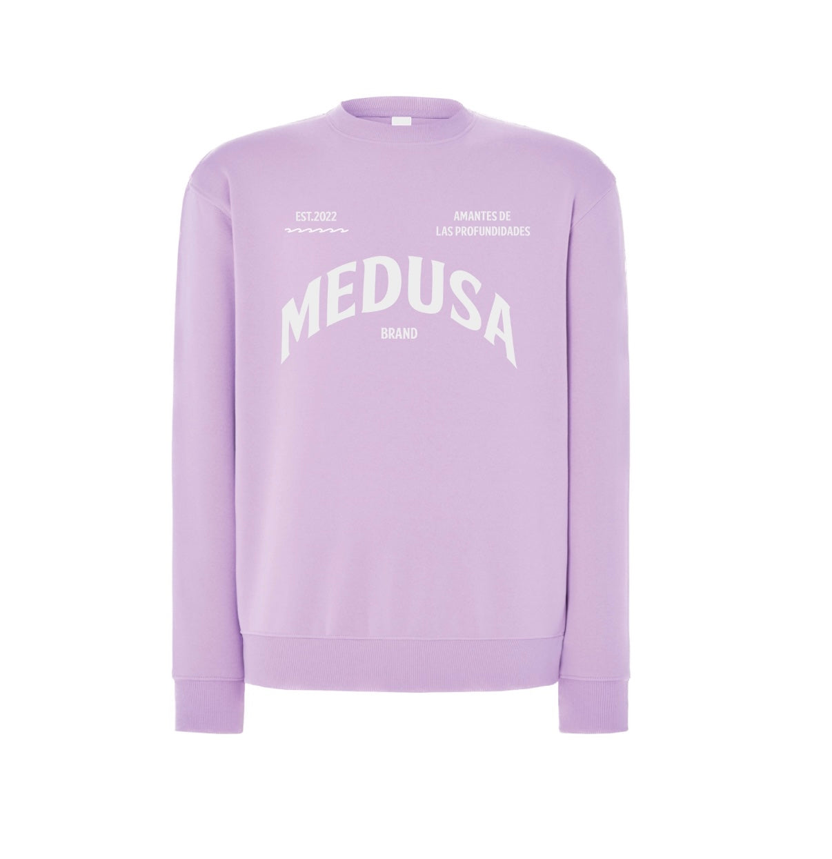 SUDADERA REGULAR PLANCTON