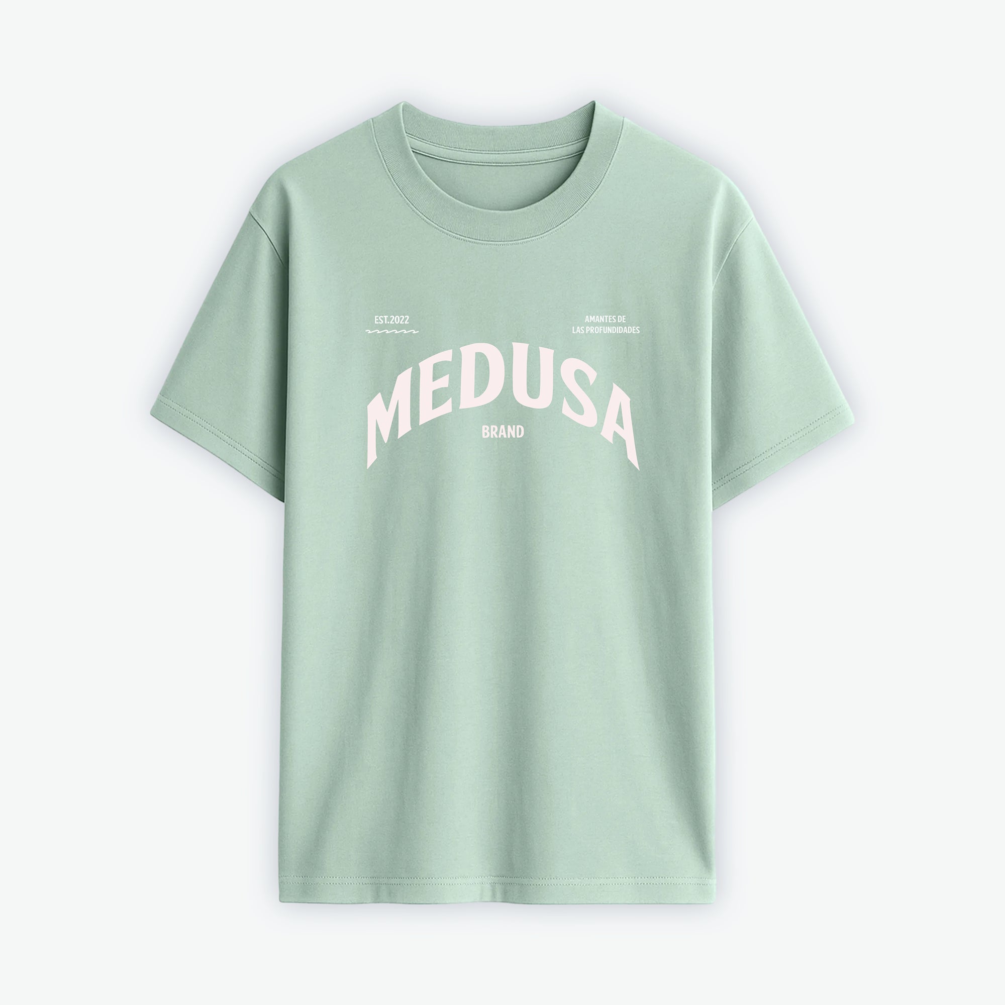 CAMISETA OVERSIZE PLANCTON