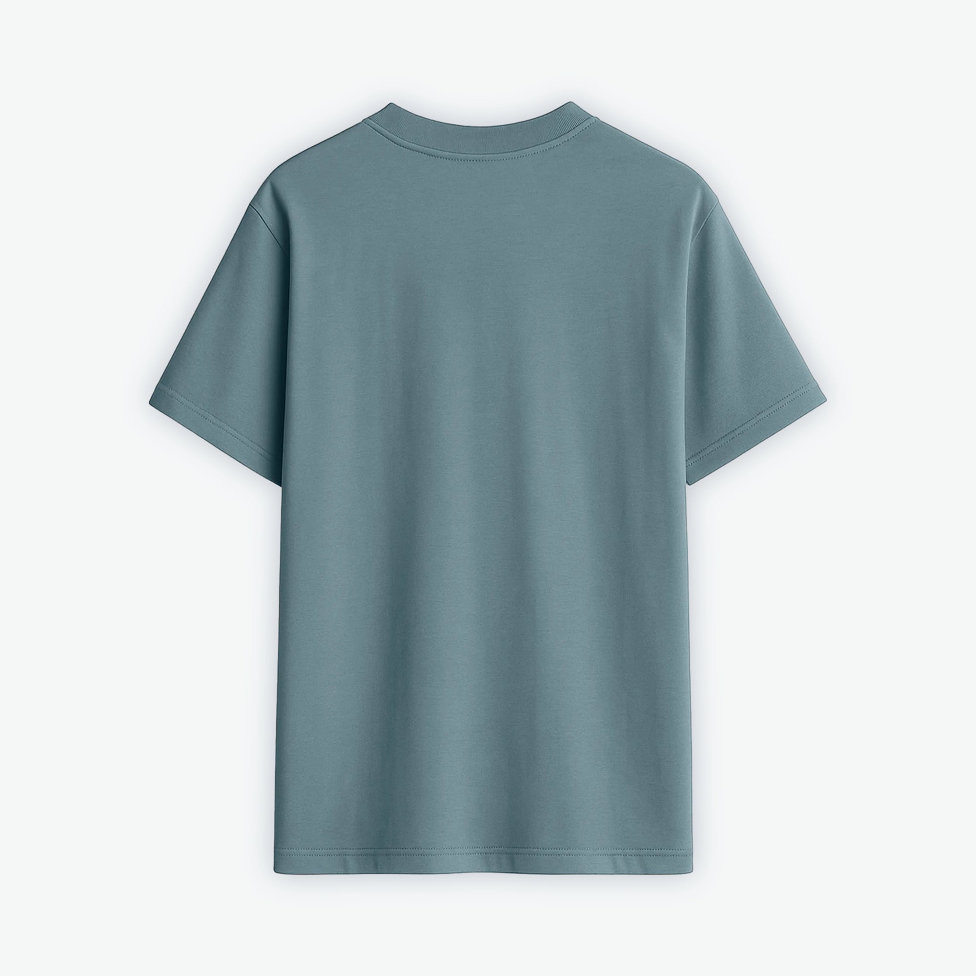 CAMISETA OVERSIZE PLANCTON