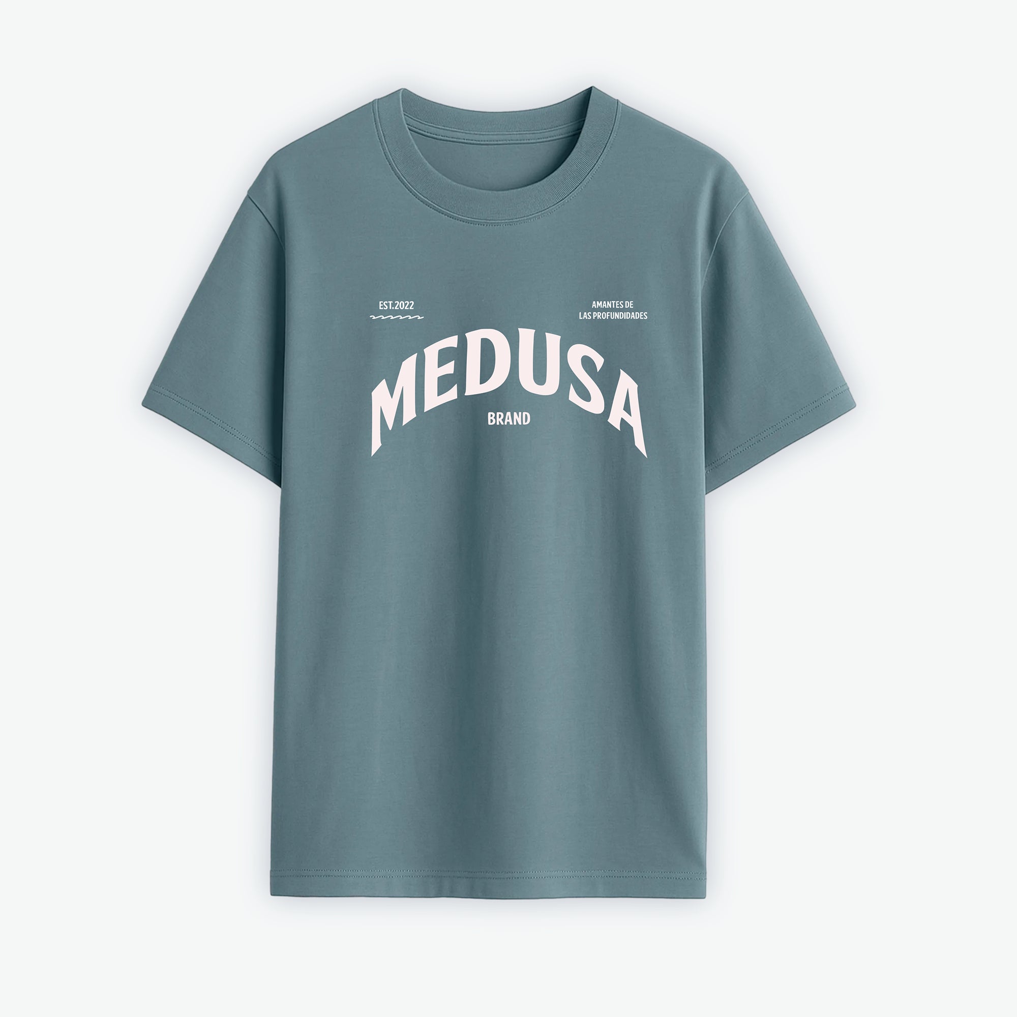 CAMISETA OVERSIZE PLANCTON