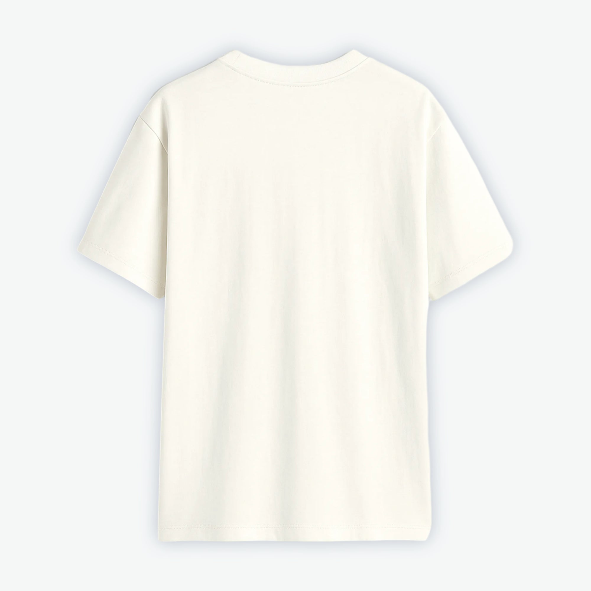 CAMISETA OVERSIZE PLANCTON