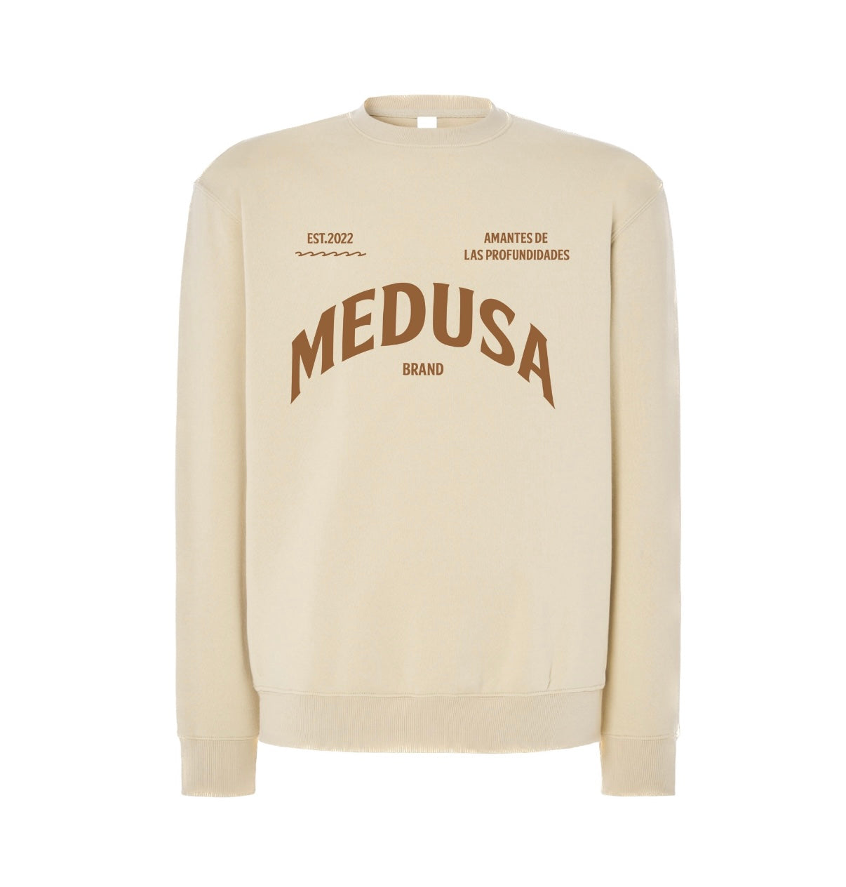 SUDADERA REGULAR PLANCTON