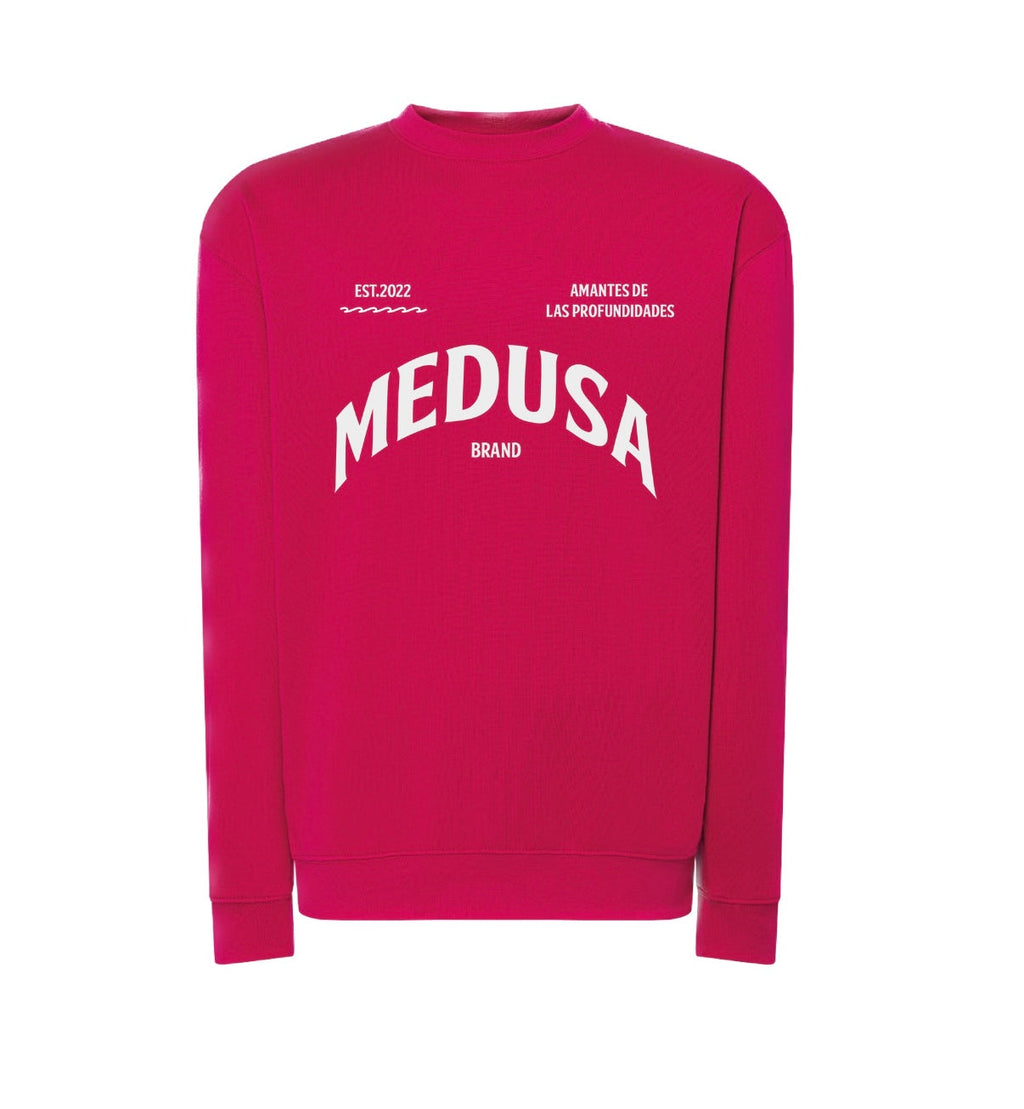 SUDADERA REGULAR PLANCTON