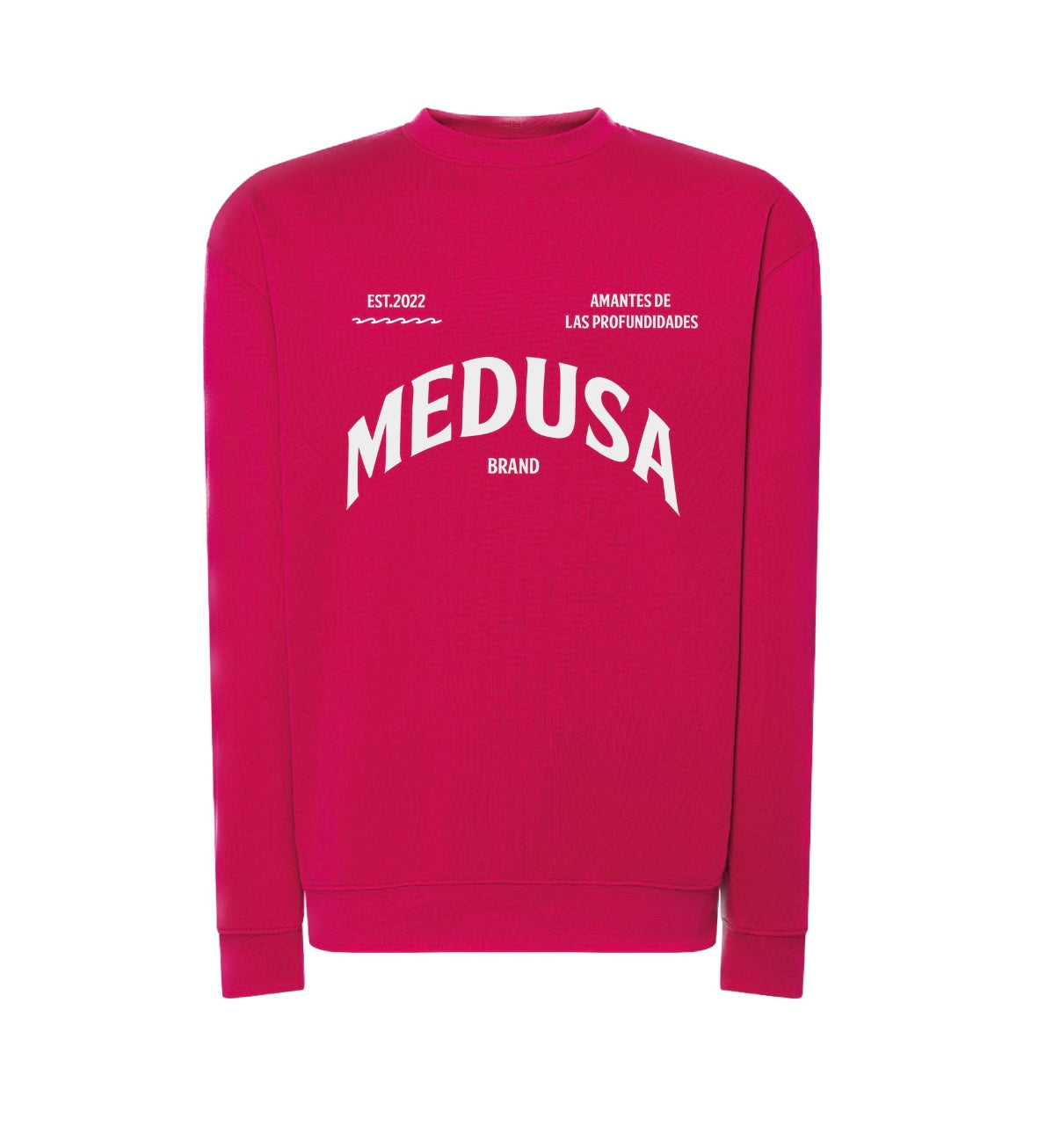 SUDADERA REGULAR PLANCTON
