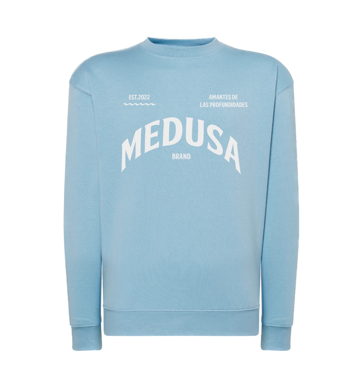 SUDADERA REGULAR PLANCTON