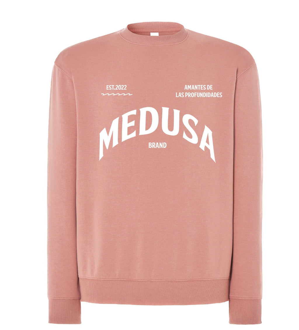 SUDADERA REGULAR PLANCTON