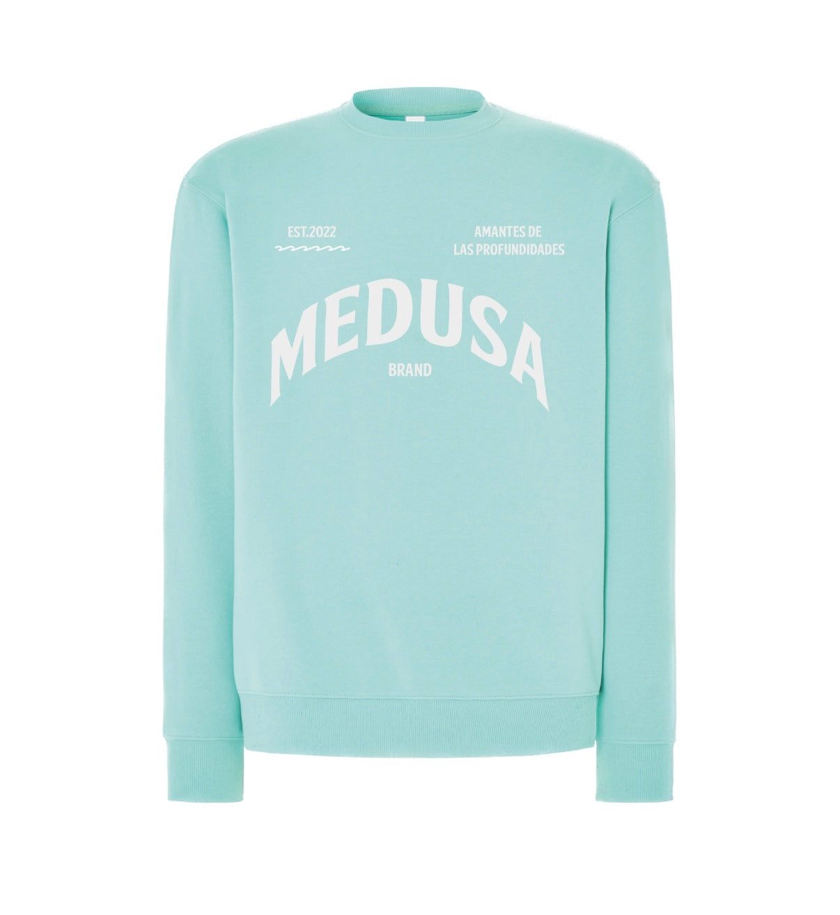 SUDADERA REGULAR PLANCTON