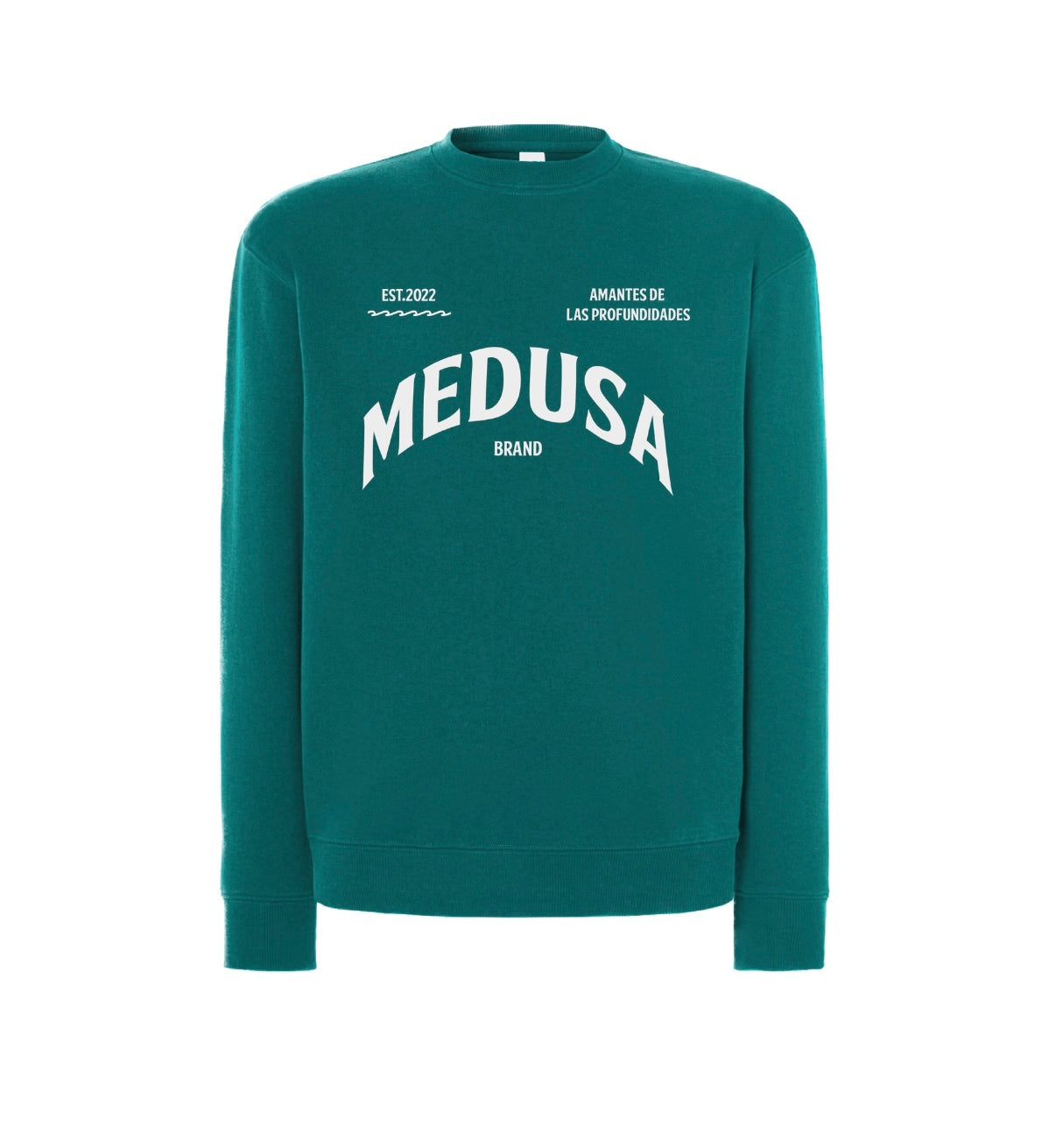 SUDADERA REGULAR PLANCTON