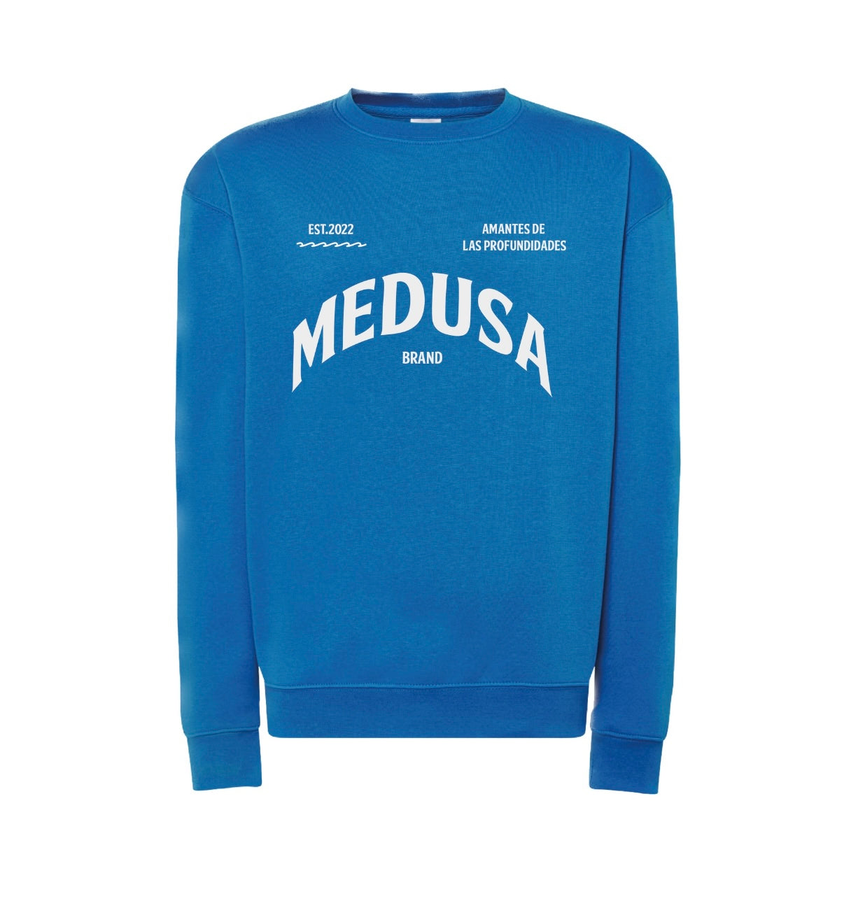 SUDADERA REGULAR PLANCTON