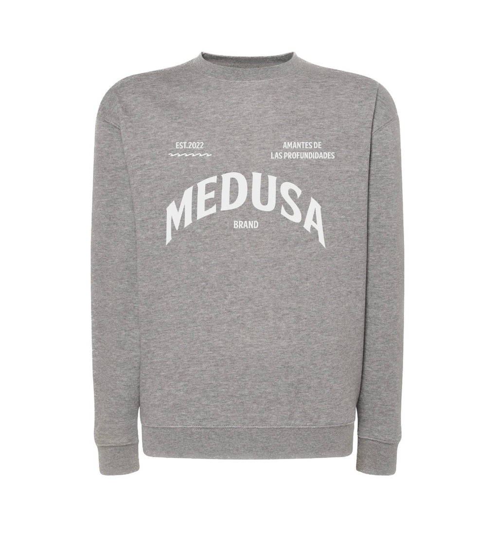 SUDADERA REGULAR PLANCTON