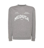SUDADERA REGULAR PLANCTON