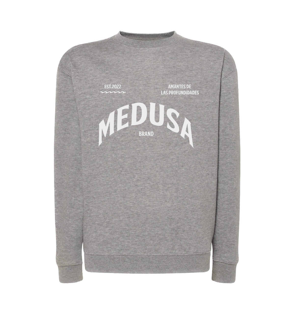 SUDADERA REGULAR PLANCTON
