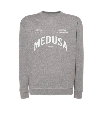 SUDADERA REGULAR PLANCTON